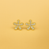 925 Sterling Silver Earring &studs